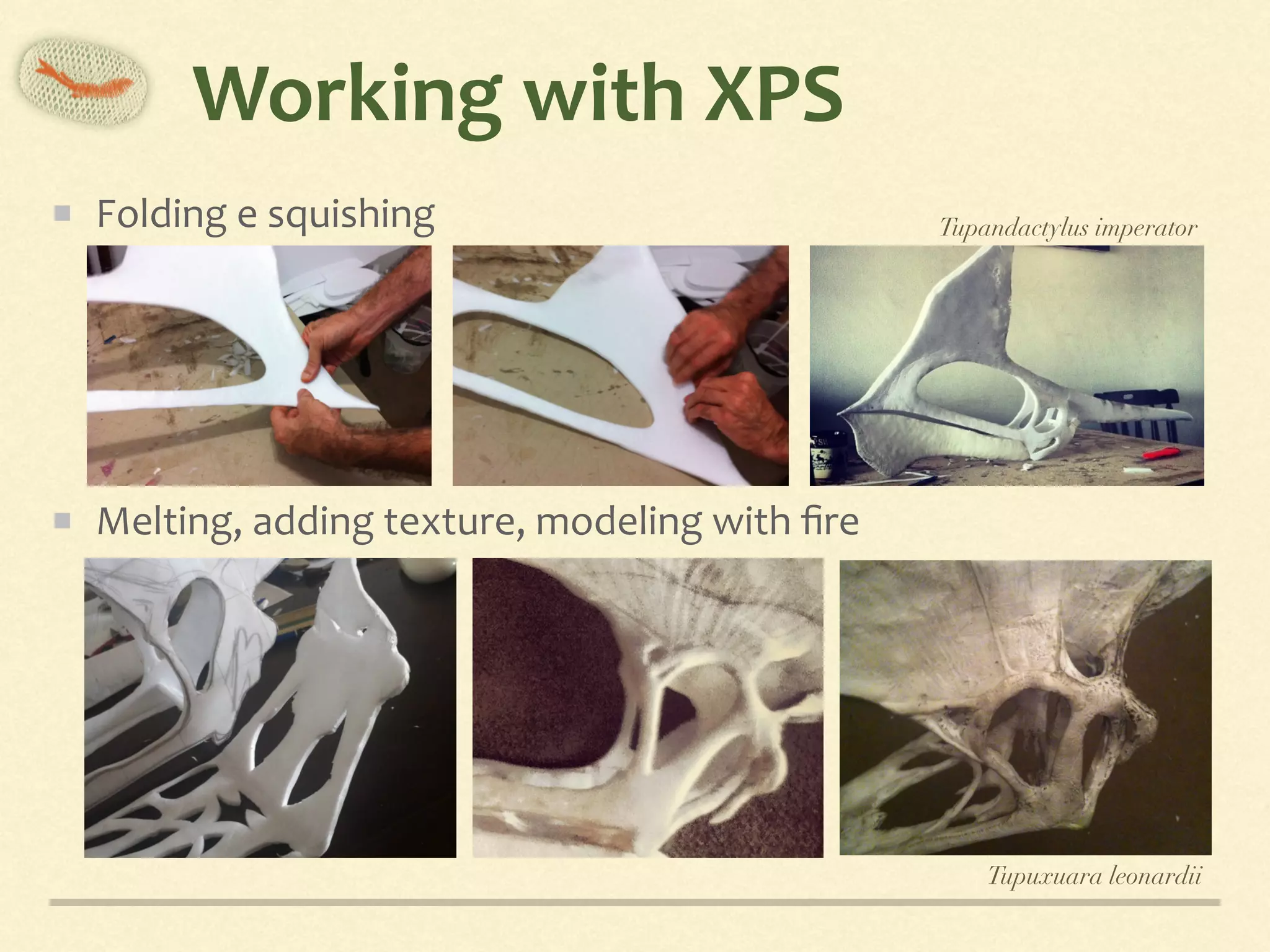 Working	with	XPS
Folding	e	squishing	
Melting,	adding	texture,	modeling	with	ﬁre
Tupandactylus imperator
Tupuxuara leonardii
 