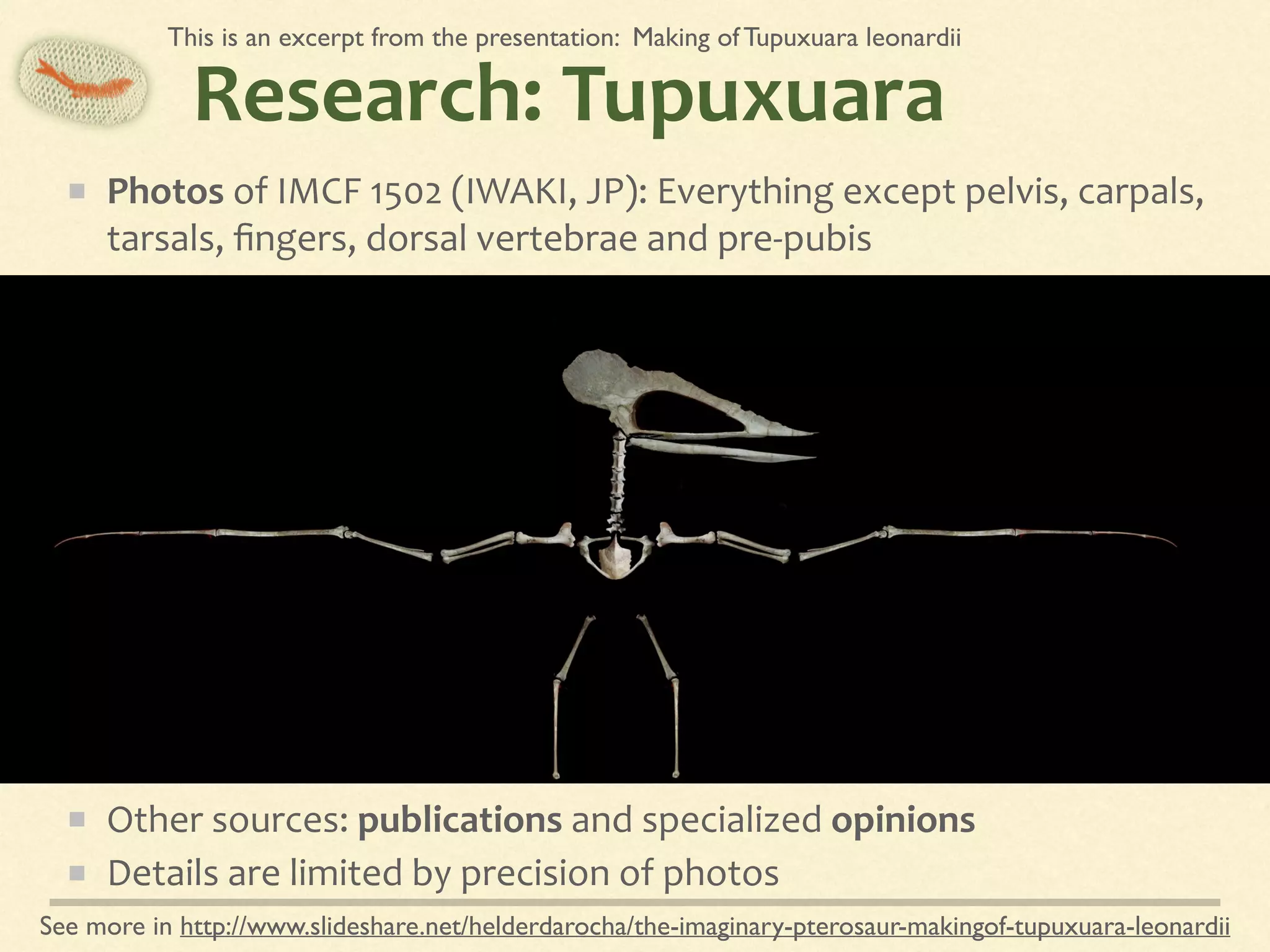 Research:	Tupuxuara
Photos	of	IMCF	1502	(IWAKI,	JP):	Everything	except	pelvis,	carpals,	
tarsals,	ﬁngers,	dorsal	vertebrae	and	pre-pubis	
Other	sources:	publications	and	specialized	opinions	
Details	are	limited	by	precision	of	photos
This is an excerpt from the presentation: Making of Tupuxuara leonardii
See more in http://www.slideshare.net/helderdarocha/the-imaginary-pterosaur-makingof-tupuxuara-leonardii
 