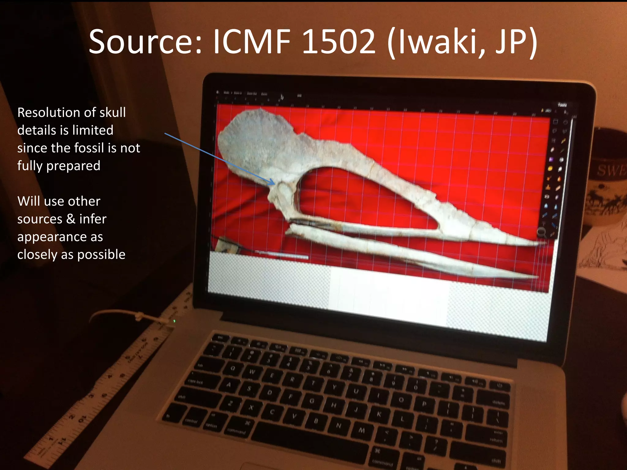 Source:	ICMF	1502	(Iwaki,	JP)
Resolution	of	skull	
details	is	limited	
since	the	fossil	is	not	
fully	prepared	
Will	use	other	
sources	&	infer	
appearance	as	
closely	as	possible
 