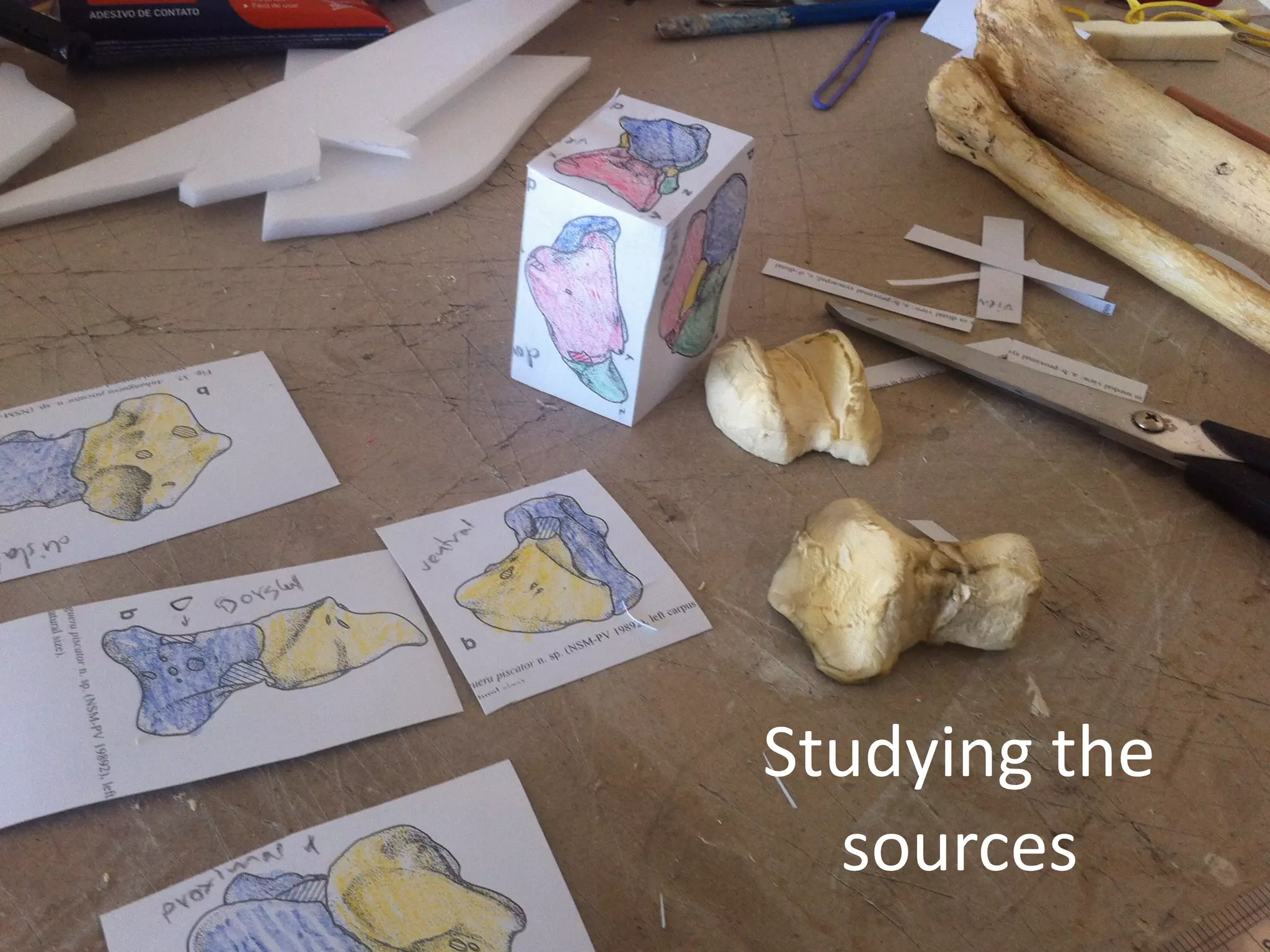 Studying	the	
sources
 