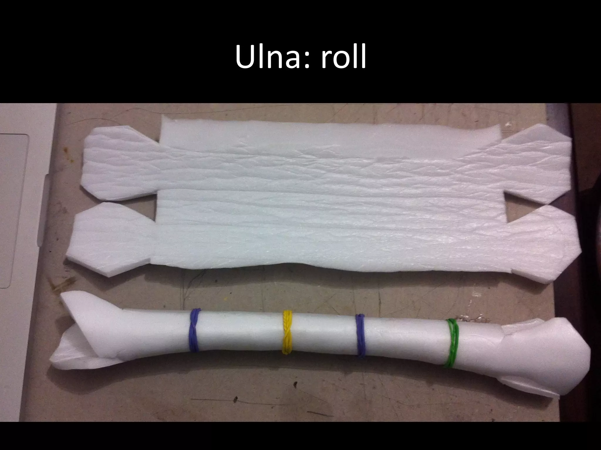 Ulna:	roll
 
