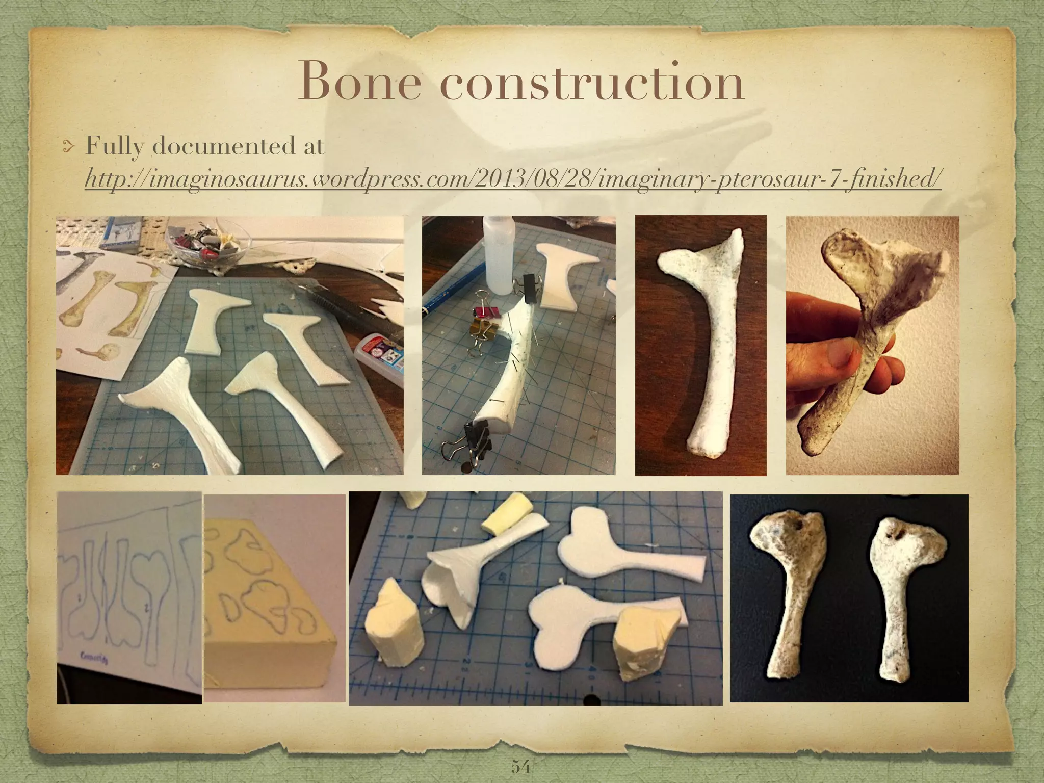 Bone construction
Fully documented at  
http://imaginosaurus.wordpress.com/2013/08/28/imaginary-pterosaur-7-ﬁnished/
54
 
