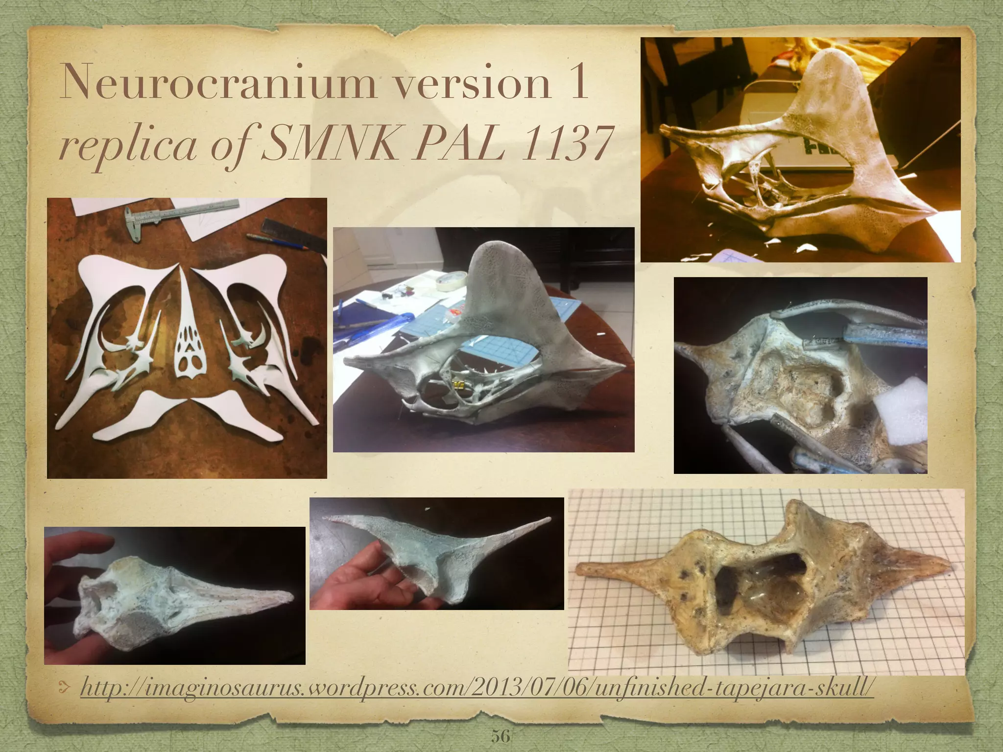 Neurocranium version 1 
replica of SMNK PAL 1137
http://imaginosaurus.wordpress.com/2013/07/06/unﬁnished-tapejara-skull/
56
 