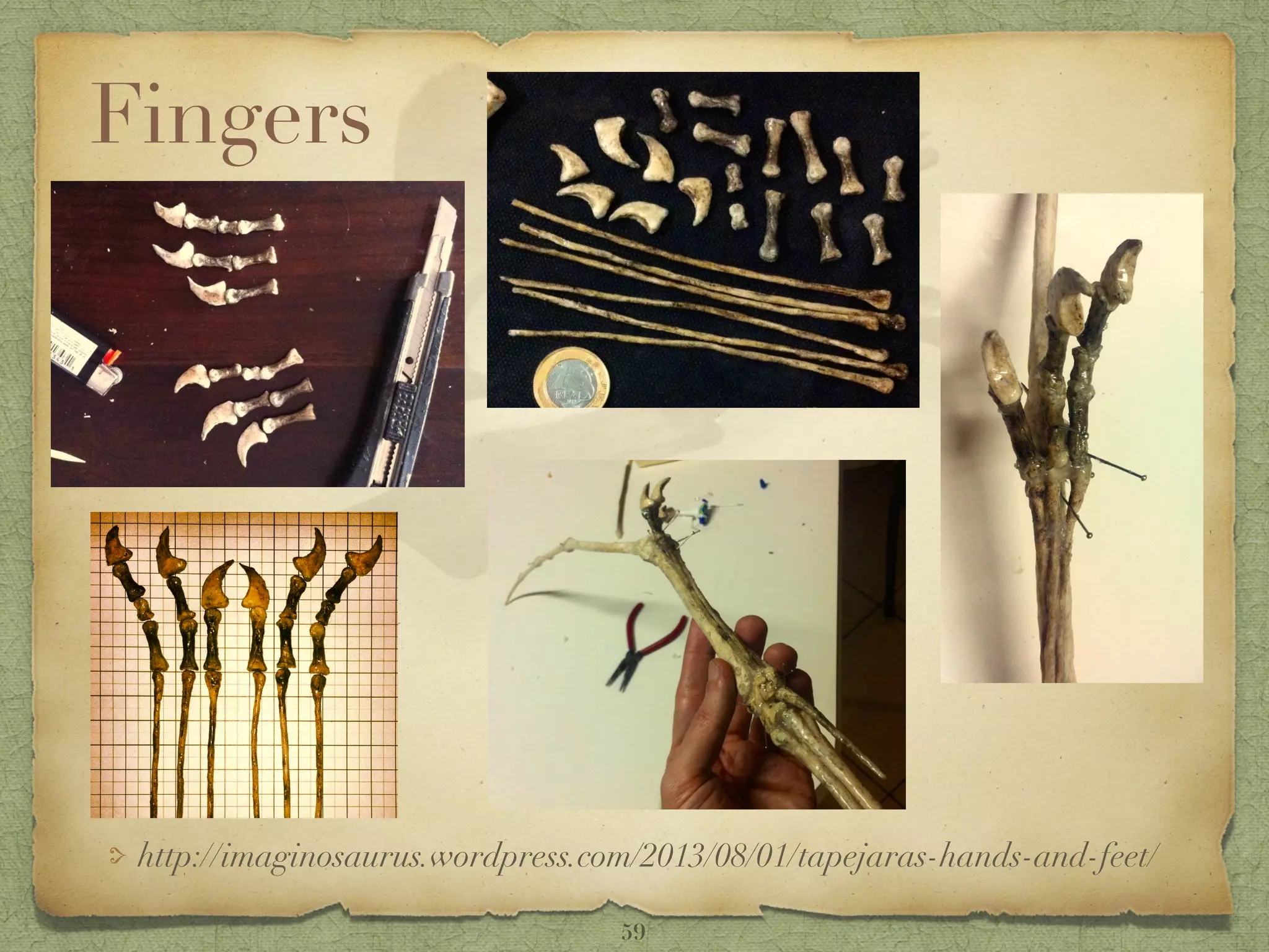 Fingers
http://imaginosaurus.wordpress.com/2013/08/01/tapejaras-hands-and-feet/
59
 