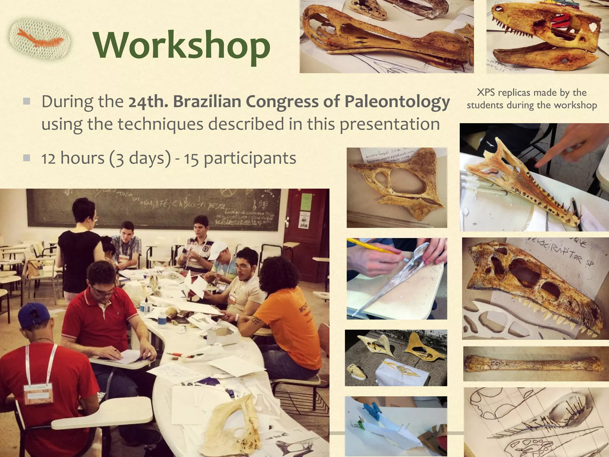 Workshop
During	the	24th.	Brazilian	Congress	of	Paleontology	
using	the	techniques	described	in	this	presentation	
12	hours	(3	days)	-	15	participants
XPS replicas made by the
students during the workshop
 