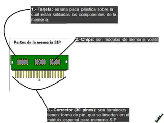 1.- Tarjeta: es una placa plástica sobre la cuál
están soldadas los componentes de la memoria.
2.-Chips: son módulos de memoria volátil.
3.- Conector (30 pines): son terminales tienen
forma de pin, que se insertan en el módulo
especial para memoria SIP
 