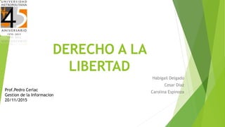 DERECHO A LA
LIBERTAD
Habigail Delgado
Cesar Diaz
Carolina EspinozaProf.Pedro Cerlac
Gestion de la Informacion
20/11/2015
 