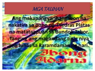 Ang makapangyarihang ibon na
nakatira sa puno ng Piedras Platas
na matatagpuan sa Bundok Tabor.
Tanging ang magandang tinig niya
ang lunas sa karamdaman ng hari.
MGATAUHAN
 
