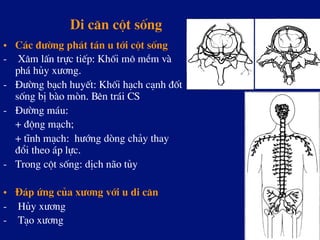 Di c¨n cét sèng
•  C¸c ®­êng ph¸t t¸n u tíi cét sèng
-  X©m lÊn trùc tiÕp: Khèi m« mÒm vµ
ph¸ hñy x­¬ng.
-  §­êng b¹ch huyÕt: Khèi h¹ch c¹nh ®èt
sèng bÞ bµo mßn. Bªn tr¸i CS
-  §­êng m¸u:
+ ®éng m¹ch;
+ tÜnh m¹ch: h­íng dßng ch¶y thay
®æi theo ¸p lùc.
-  Trong cét sèng: dÞch n·o tñy
•  §¸p øng cña x­¬ng víi u di c¨n
-  Hñy x­¬ng
-  T¹o x­¬ng
 