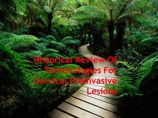 Historical Review Of
Terminologies For
Cervical Preinvasive
Lesions
 