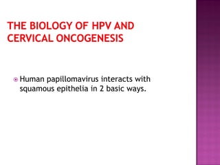  Human papillomavirus interacts with
squamous epithelia in 2 basic ways.
 