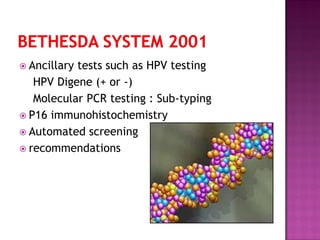  Ancillary tests such as HPV testing
HPV Digene (+ or -)
Molecular PCR testing : Sub-typing
 P16 immunohistochemistry
 Automated screening
 recommendations
 