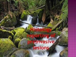 Histology
reporting of
preinvasive
lesions
 