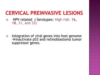  HPV related ( Serotypes: High risk: 16,
18, 31, and 33)
 Integration of viral genes into host genome
inactivate p53 and retinoblastoma tumor
suppressor genes.
 