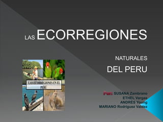 LAS ECORREGIONES 
NATURALES 
DEL PERU 
SUSANA Zambrano 
ETHEL Vargas 
ANDRÉS Young 
MARIANO Rodríguez Valdez 
 
