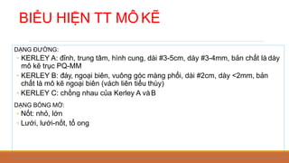 BIỂU HIỆN TT MÔ KẼ
DẠNG ĐƯỜNG:
◦ KERLEY A: đỉnh, trung tâm, hình cung, dài #3-5cm, dày #3-4mm, bản chất là dày
mô kẽ trục PQ-MM
◦ KERLEY B: đáy, ngoại biên, vuông góc màng phổi, dài #2cm, dày <2mm, bản
chất là mô kẽ ngoại biên (vách liên tiểu thùy)
◦ KERLEY C: chồng nhau của Kerley A vàB
DẠNG BÓNG MỜ:
◦ Nốt: nhỏ, lớn
◦ Lưới, lưới-nốt, tổ ong
 
