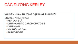 CÁC ĐƯỜNG KERLEY
NGUYÊN NHÂN THƯỜNG GẶP NHẤT: PHÙ PHỔI
NGUYÊN NHÂN KHÁC:
◦ HẸP VAN 2 LÁ
◦ LYMPHANGITIC CARCINOMATOSIS
◦ LYMPHOMA
◦ XƠ PHỔI VÔ CĂN
◦ SARCOIDOSIS
 