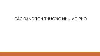 CÁC DẠNG TỔN THƯƠNG NHU MÔ PHỔI
 