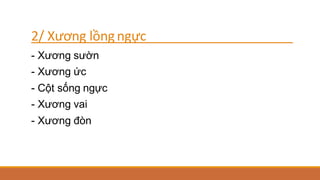 2/ Xương lồngngực
- Xương sườn
- Xương ức
- Cột sống ngực
- Xương vai
- Xương đòn
 