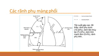 Các rãnh phụ màngphổi
Tần suất gặp cao 

thấp: rãnh phụ dưới
(10-20%), rãnh liên thùy
bé (T) (2%), rãnh tĩnh
mạch đơn (0.4%), rãnh
phụ trên,
 