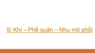 5/ Khí -‐Phế quản -‐Nhu mô phổi
 