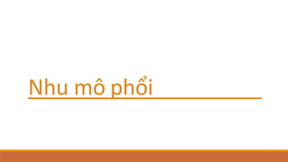 Nhu mô phổi
 