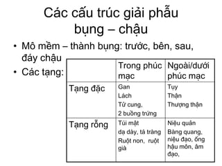 Các cấu trúc giải phẫu
bụng – chậu
• Mô mềm – thành bụng: trước, bên, sau,
đáy chậu
• Các tạng:
Trong phúc
mạc
Ngoài/dưới
phúc mạc
Tạng đặc Gan
Lách
Tử cung,
2 buồng trứng
Tụy
Thận
Thượng thận
Tạng rỗng Túi mật
dạ dày, tá tràng
Ruột non, ruột
già
Niệu quản
Bàng quang,
niệu đạo, ống
hậu môn, âm
đạo,
 