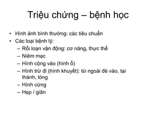 Triệu chứng – bệnh học
• Hình ảnh bình thường: các tiêu chuẩn
• Các loại bệnh lý:
– Rối loạn vận động: cơ năng, thực thể
– Niêm mạc
– Hình cộng vào (hình ổ)
– Hình trừ đi (hình khuyết): từ ngoài đè vào, tại
thành, lòng
– Hình cứng
– Hẹp / giãn
 