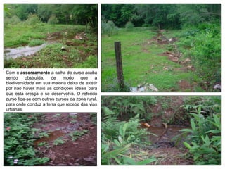 Com o assoreamento a calha do curso acaba
sendo obstruída, de modo que a
biodiversidade em sua maioria deixa de existir
por não haver mais as condições ideais para
que esta cresça e se desenvolva. O referido
curso liga-se com outros cursos da zona rural,
para onde conduz a terra que recebe das vias
urbanas.
 