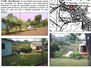2ª - Nascente - Rua Minuano
2ª APP - Rua Minuano O uso indevido do recurso natural
por atividades de gênero particular, sem licenciamento
ambiental no início da colonização causou a extinção de
grande parte da flora e da fauna, existentes no local e ao
longo do curso de todo o afluente localizado na zona
Urbana
 