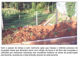Com o passar do tempo e sem nenhuma ação que impeça o referido processo de
ocupação áreas que deveriam servir com refugio da fauna e da flora são ocupadas e
utilizadas por interesses individuas dos moradores lindeiros as áreas de preservação
permanente, levando-as a total extinção através do soterramento
 