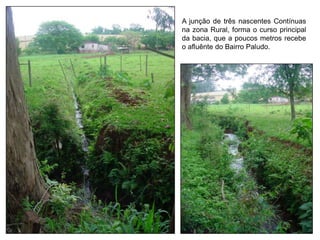 A junção de três nascentes Contínuas
na zona Rural, forma o curso principal
da bacia, que a poucos metros recebe
o afluênte do Bairro Paludo.
 