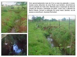 Com aproximadamente mais de 2 km e meio de extenção, o curso,
recebe outros afluentes da zona Rural, que também, encontram-se
sem à proteção da mata ciliar. Retirada para a expanção da área de
criação de animais e plantação de grãos. Junto com o afluente do
Bairro Paludo, formam a extenção do curso maior. Sentido, via de
acesso a zona Rural - Avenida Perimetral.
 