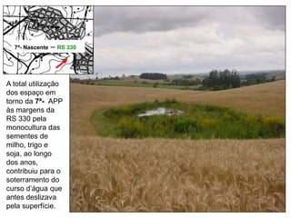 7ª- Nascente - RS 330
A total utilização
dos espaço em
torno da 7ª- APP
às margens da
RS 330 pela
monocultura das
sementes de
milho, trigo e
soja, ao longo
dos anos,
contribuiu para o
soterramento do
curso d’água que
antes deslizava
pela superfície.
7ª- Nascente – RS 330
 