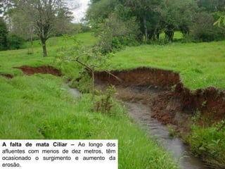 A falta de mata Ciliar – Ao longo dos
afluentes com menos de dez metros, têm
ocasionado o surgimento e aumento da
erosão.
 