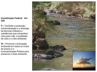 Constituição Federal Art.
225
V – Controlar a produção
comercialização e o emprego
de técnicas métodos e
substâncias que comportem
risco para vida, a qualidade
de vida e o meio ambiente;
VI – Promover a Educação
ambiental em todos os níveis
de ensino e a
conscientização Pública para
preservar o meio ambiente.
 