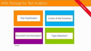 AML Package for Text Analytics
 