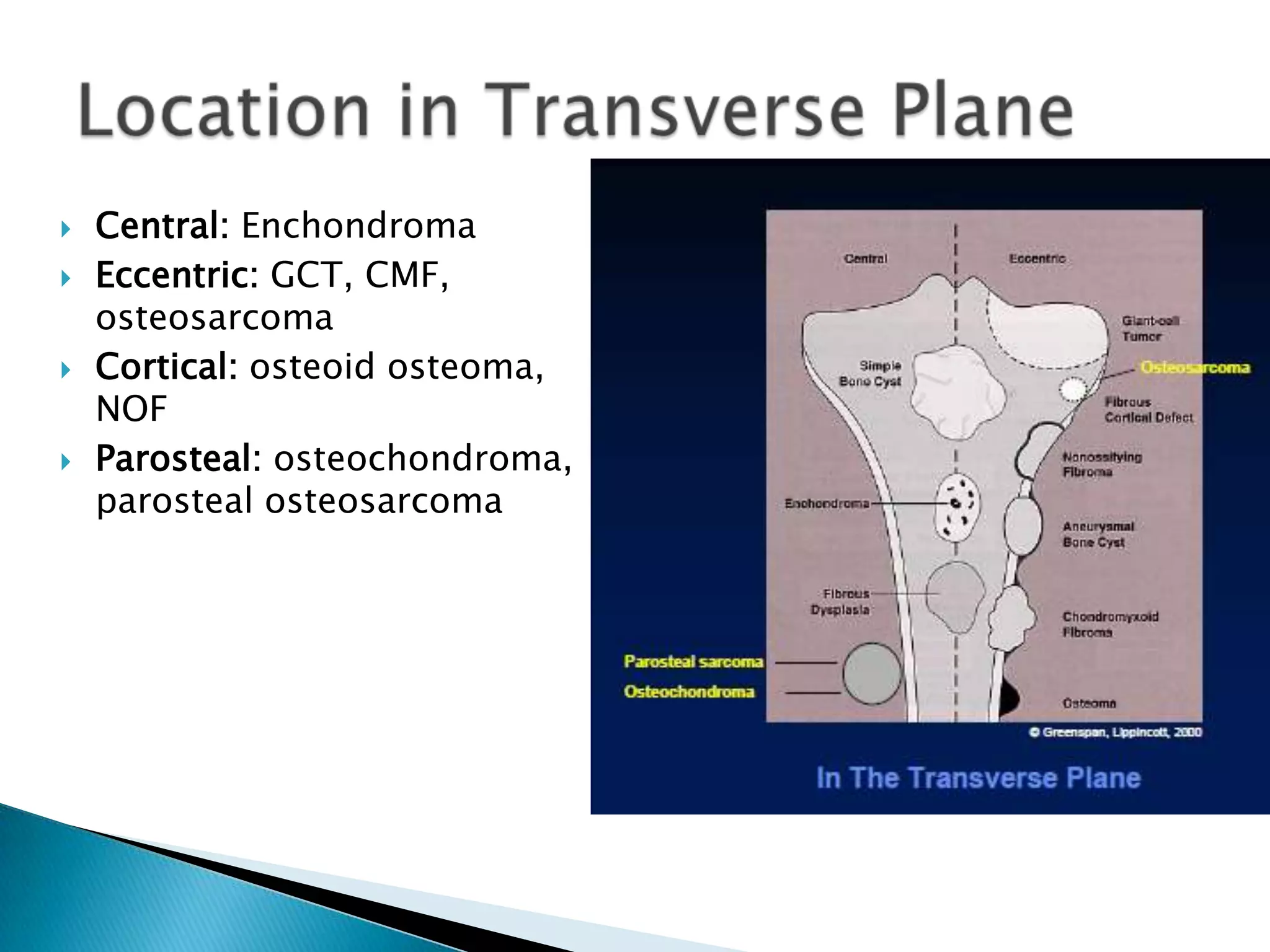    Central: Enchondroma
   Eccentric: GCT, CMF,
    osteosarcoma
   Cortical: osteoid osteoma,
    NOF
   Parosteal: osteochondroma,
    parosteal osteosarcoma
 