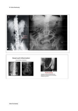 Dr Doha Rasheedy
Doha Rasheedy
 