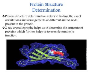 Protein Structure
Determination
Protein structure determination refers to finding the exact
orientations and arrangements of different amino acids
present in the protein.
X ray crystallography helps us to determine the structure of
proteins which further helps us to even determine its
function.
 