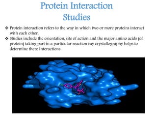Protein Interaction
Studies
 Protein interaction refers to the way in which two or more proteins interact
with each other.
 Studies include the orientation, site of action and the major amino acids (of
protein) taking part in a particular reaction ray crystallography helps to
determine there Interactions.
 