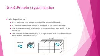 Step2:Protein crystallization
 Why Crystallization:
 X-ray scattering from a single unit would be unimaginably weak.
 A crystal arranges a huge number of molecules in the same orientation.
 Scattered waves add up in phase and increase Signal to a level which can be
measured.
 This is often the rate-limiting step in straightforward structure determinations,
especially for membrane proteins
 