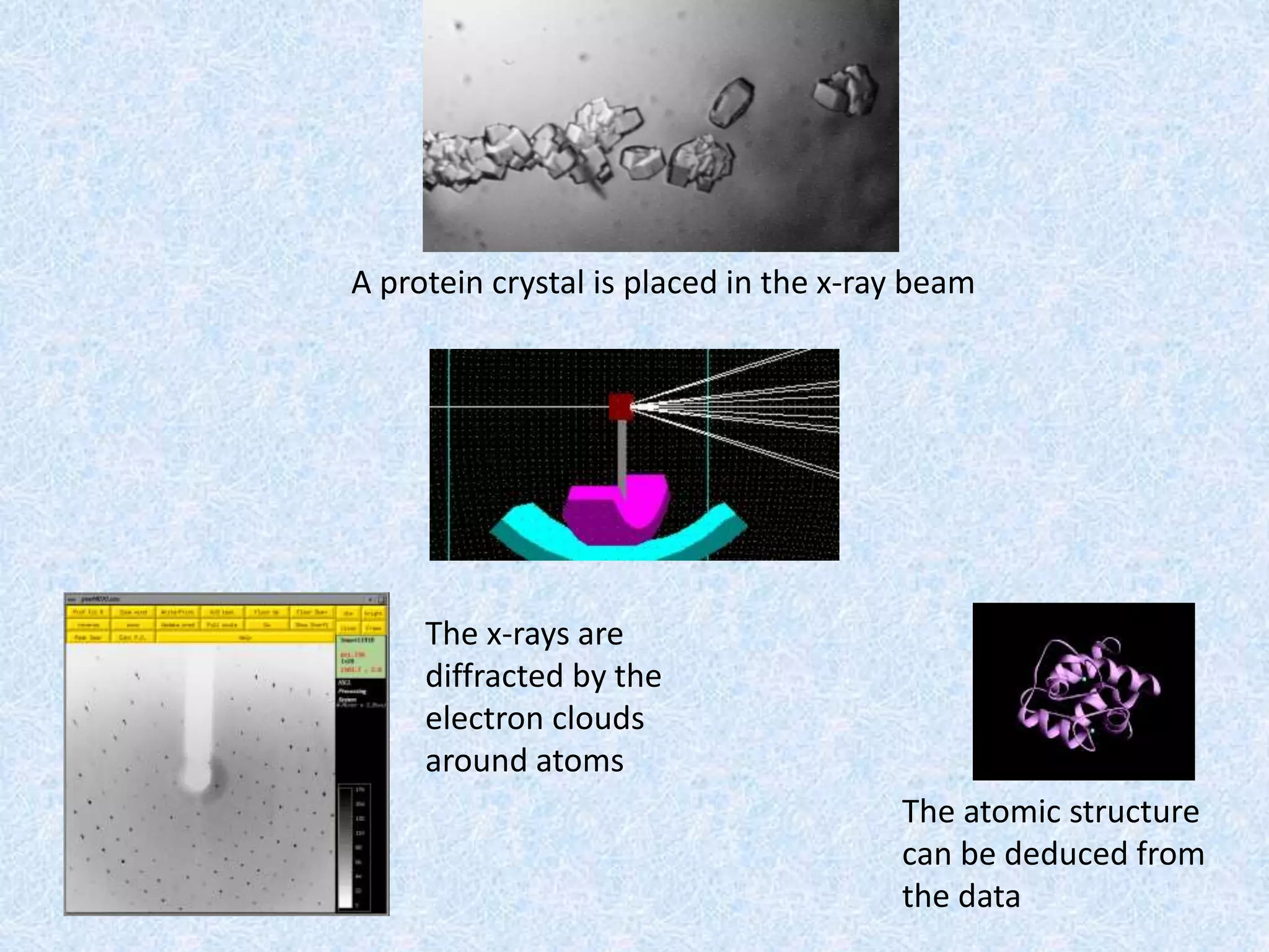A protein crystal is placed in the x-ray beam
The x-rays are
diffracted by the
electron clouds
around atoms
The atomic structure
can be deduced from
the data
 