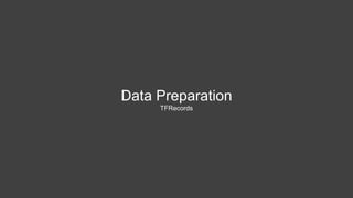 Data Preparation
TFRecords
 
