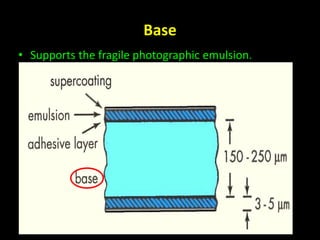 Base 
• Supports the fragile photographic emulsion. 
 