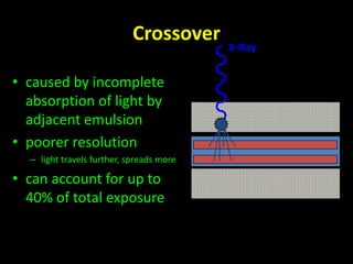 Crossover 
• caused by incomplete 
absorption of light by 
adjacent emulsion 
• poorer resolution 
– light travels further, spreads more 
• can account for up to 
40% of total exposure 
X-Ray 
 