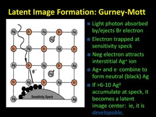 Latent Image Formation: Gurney-Mott 
 Light photon absorbed 
by/ejects Br electron 
 Electron trapped at 
sensitivity speck 
 Neg electron attracts 
interstitial Ag+ ion 
 Ag+ and e- combine to 
form neutral (black) Ag 
 If >6-10 Ag0 
accumulate at speck, it 
becomes a latent 
image center: ie, it is 
developable. 
 
