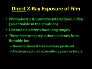 Direct X-Ray Exposure of Film 
• Photoelectric & Compton interactions in film 
(silver halide in the emulsion) 
• Liberated electrons have long ranges 
• These electrons strip other electrons from 
Bromide ion 
– Bromine atoms & free electrons produced 
– Electrons captured at sensitivity speck as before 
 