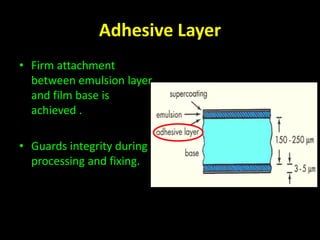 Adhesive Layer 
• Firm attachment 
between emulsion layer 
and film base is 
achieved . 
• Guards integrity during 
processing and fixing. 
 