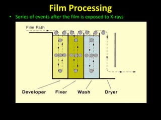 Film Processing 
• Series of events after the film is exposed to X-rays 
• There is another stage in the manual processing known as rinsing 
in between development and fixing. 
 